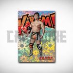 2025 Panini PFL Combat Anthology Hobby Box - Image 4